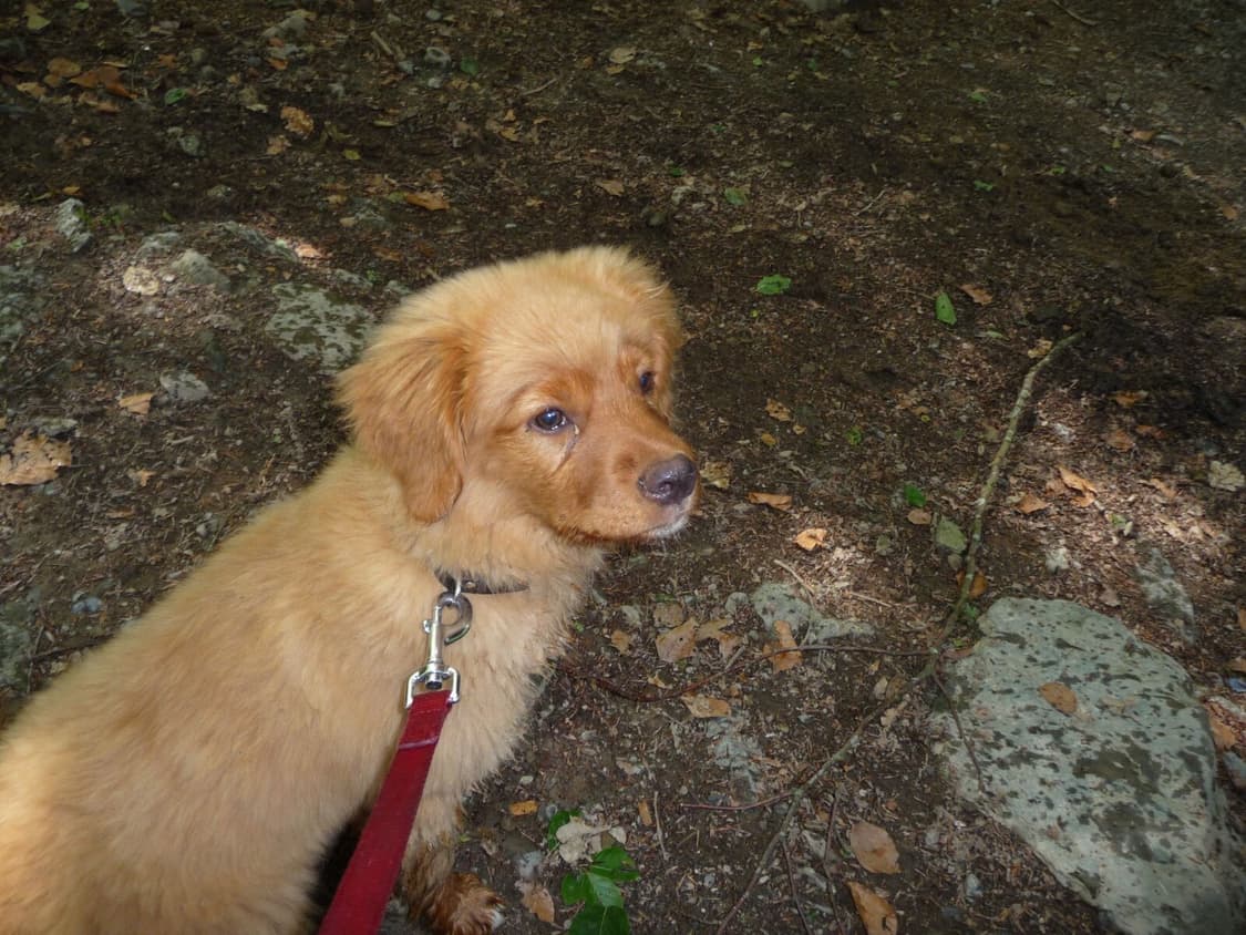 루믹스 LUMIX TZ5 빈티지 디카 상품이미지7