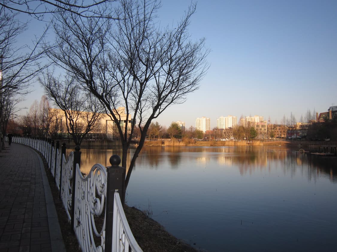 캐논 익서스 200 is canon ixus 200 is (작례 o) 상품이미지7