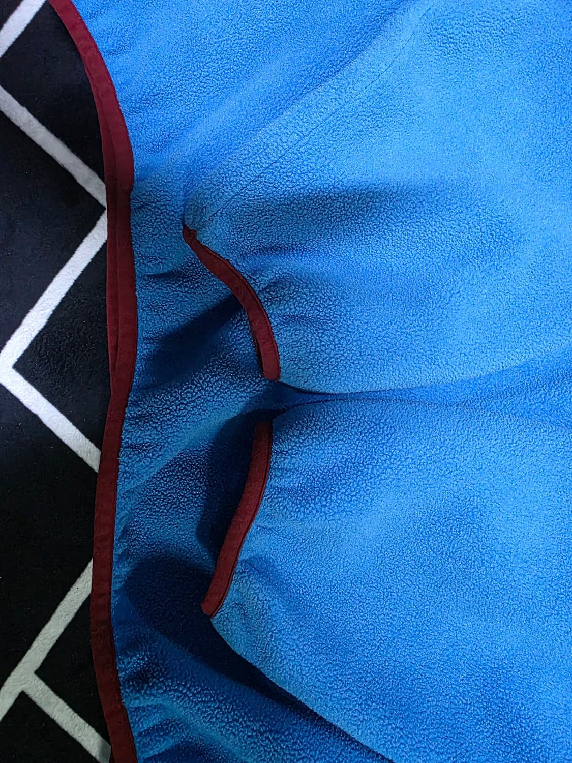 파타고니아 신칠라 스냅티 일렉트론 블루 L 상품이미지3