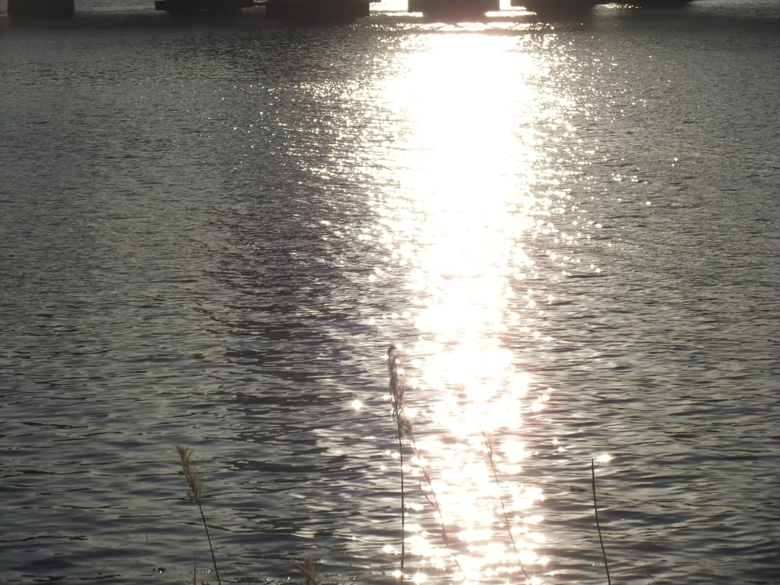 [바로사용가능] 후지 Fuji finepix Jz300 빈티지 디카 상품이미지5