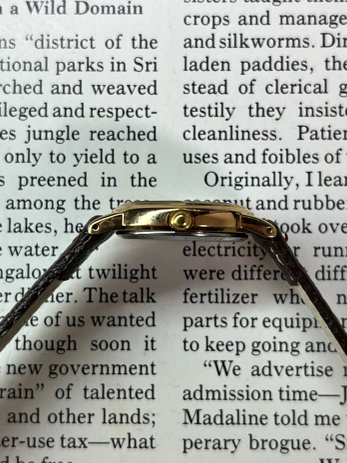 SEIKO 레이디스 쿼츠 상품이미지5