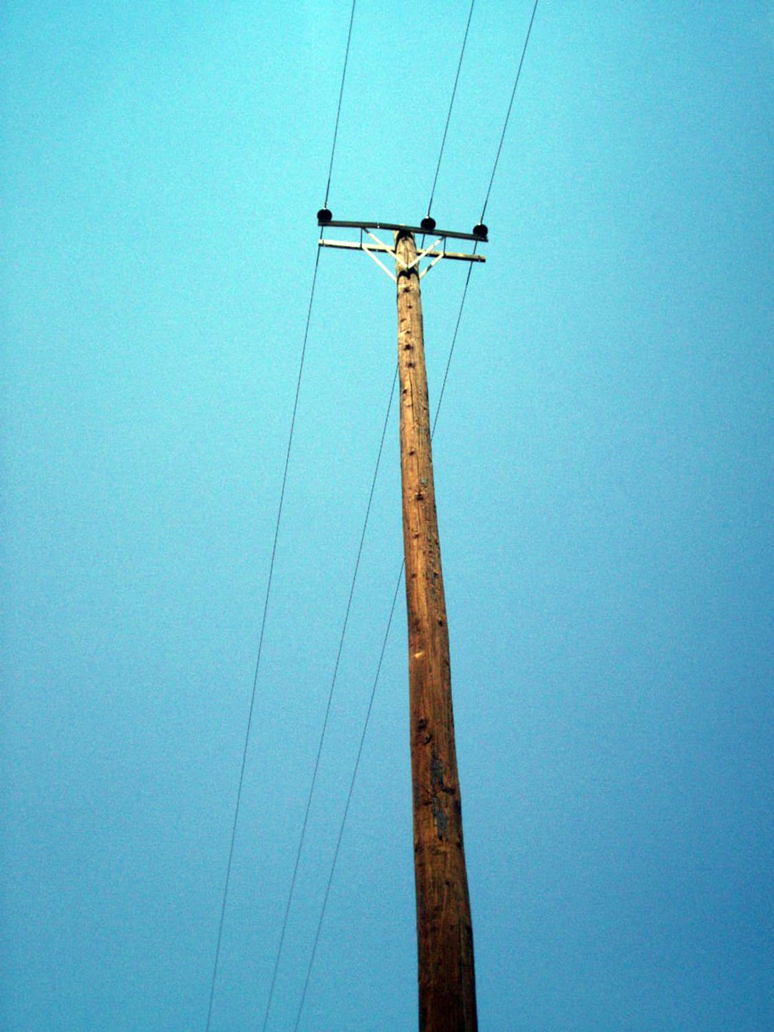 Kodak EasyShare C310 상품이미지10