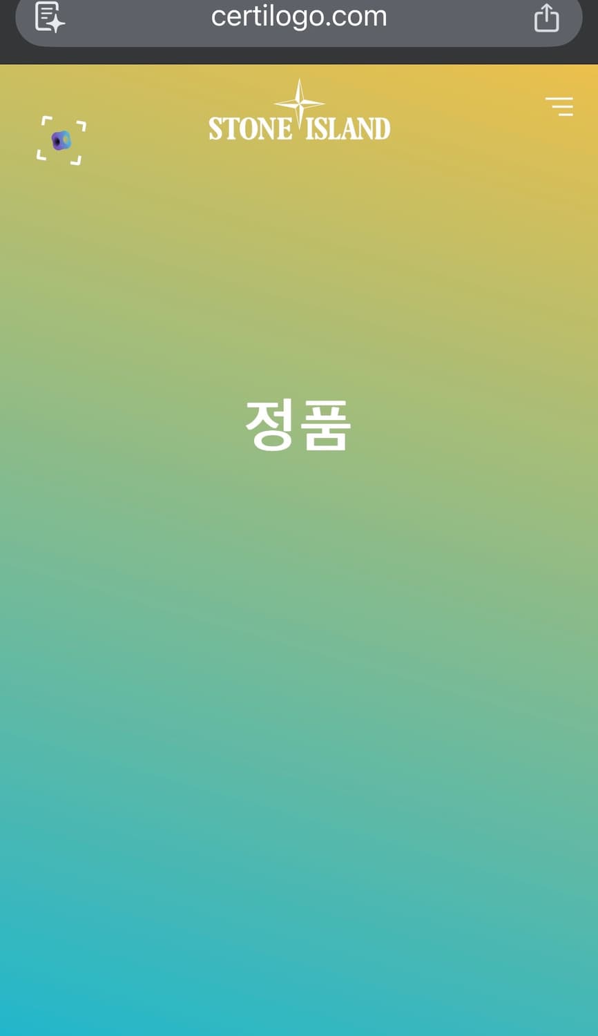 L 스톤아일랜드 블랙 반팔티 상품이미지6