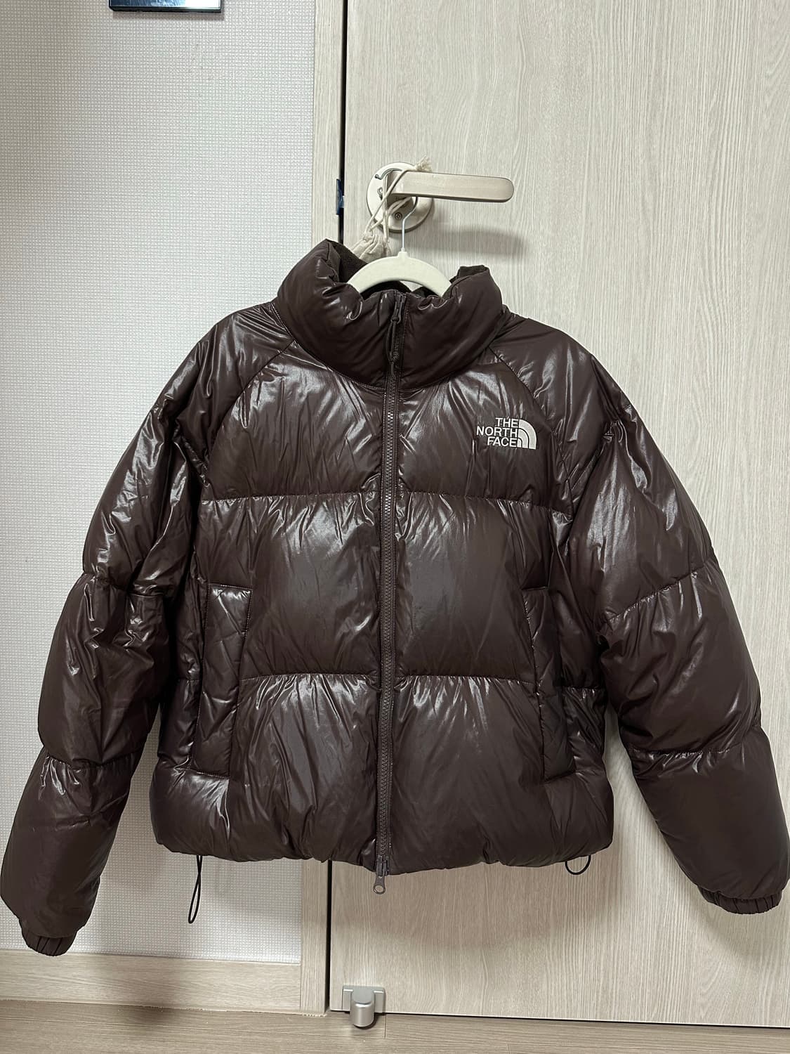 노스페이스 화이트 라벨 네오 퍼피 다운 자켓 브라운 유광 상품이미지4