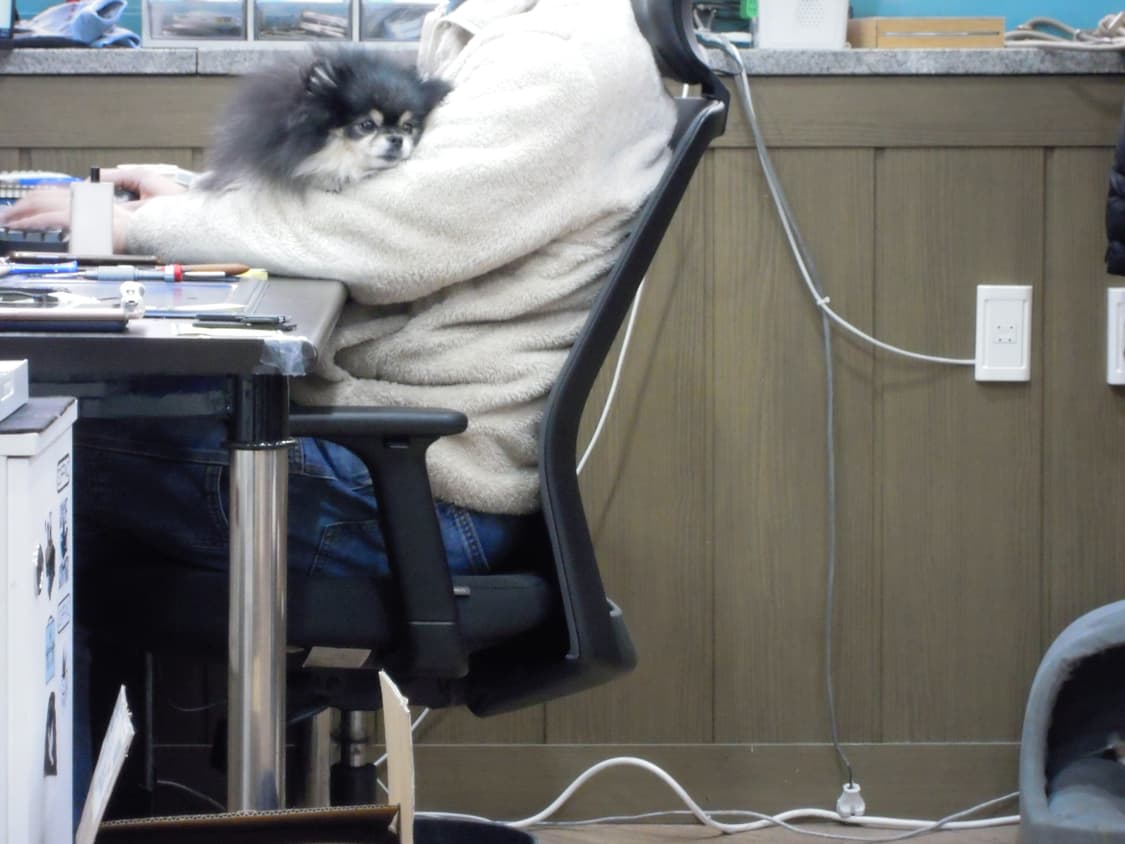 니콘 쿨픽스 s640 빈티지 디카 (mint) 상품이미지3