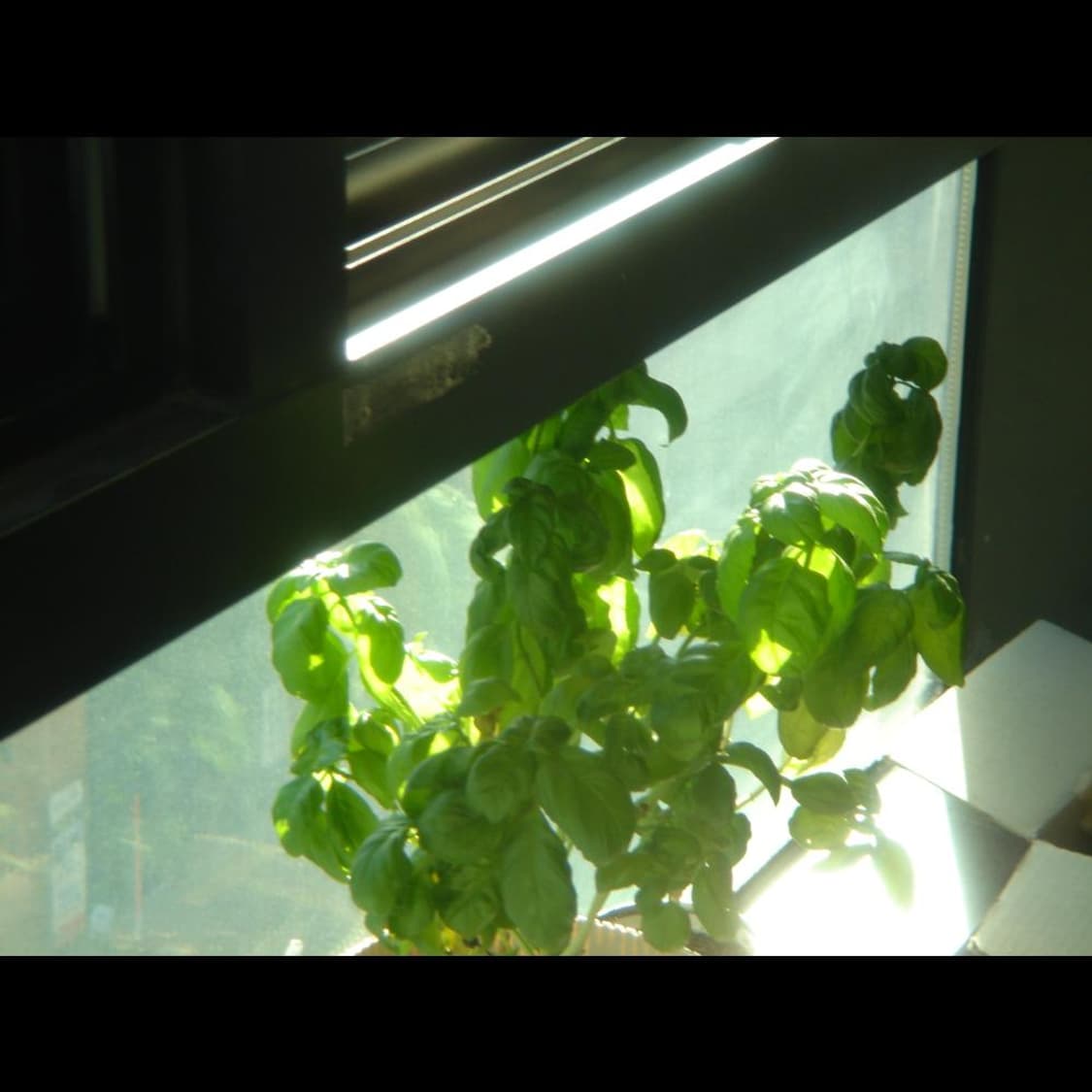 작례⭕️ 소니 사이버샷 DSC-T1 빈티지 디카 디지털카메라 상품이미지3