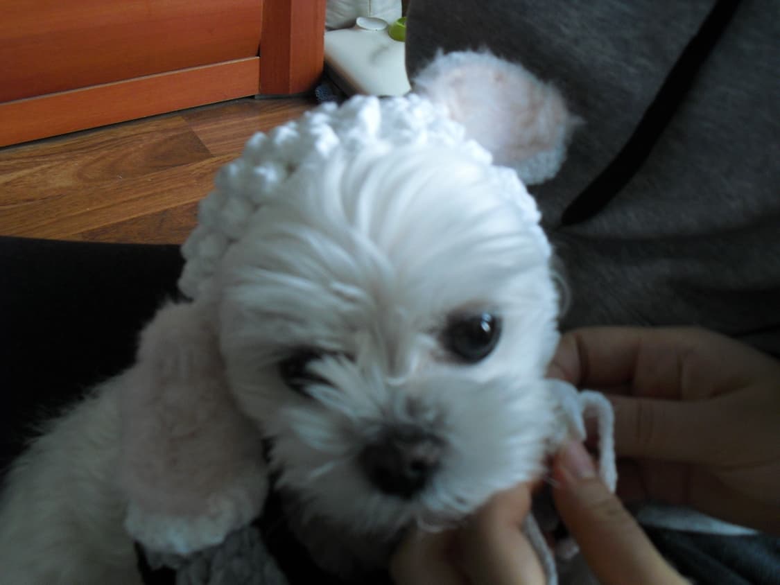 카시오 엑슬림 ex-z1 상품이미지7