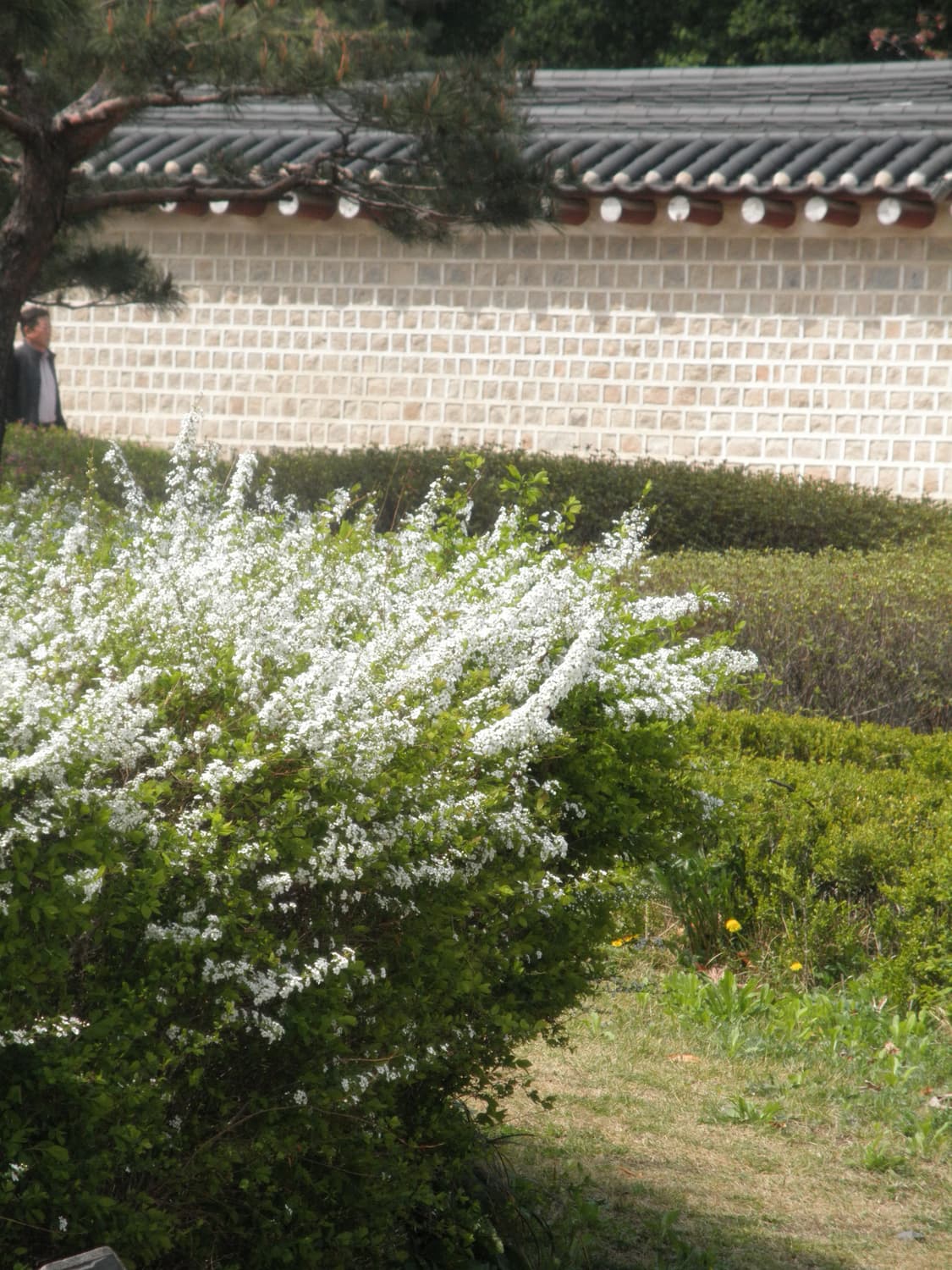 작례o 핑크빛 뽀용 디카 올림푸스 뮤7040 카메라 판매합니다 상품이미지8