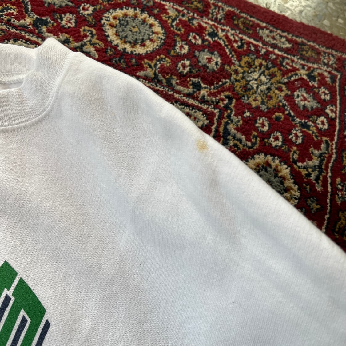 챔피온 노트르담 스웻셔츠 [ 110- ] 상품이미지4