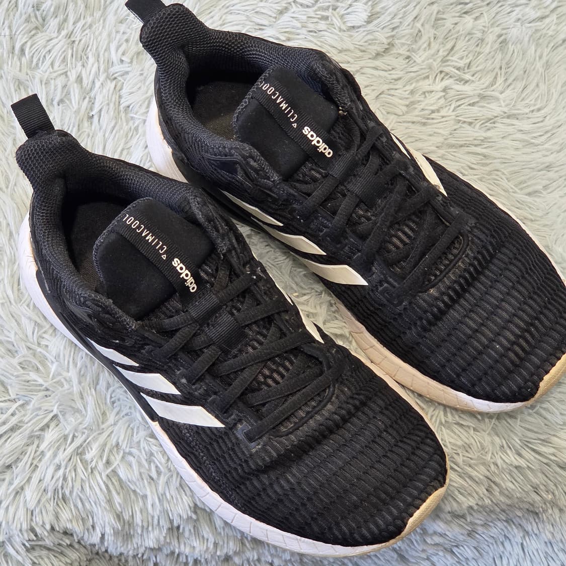 5x-10:아디다스 퀘스타CC(Adidas Questar CC)-245 상품이미지5