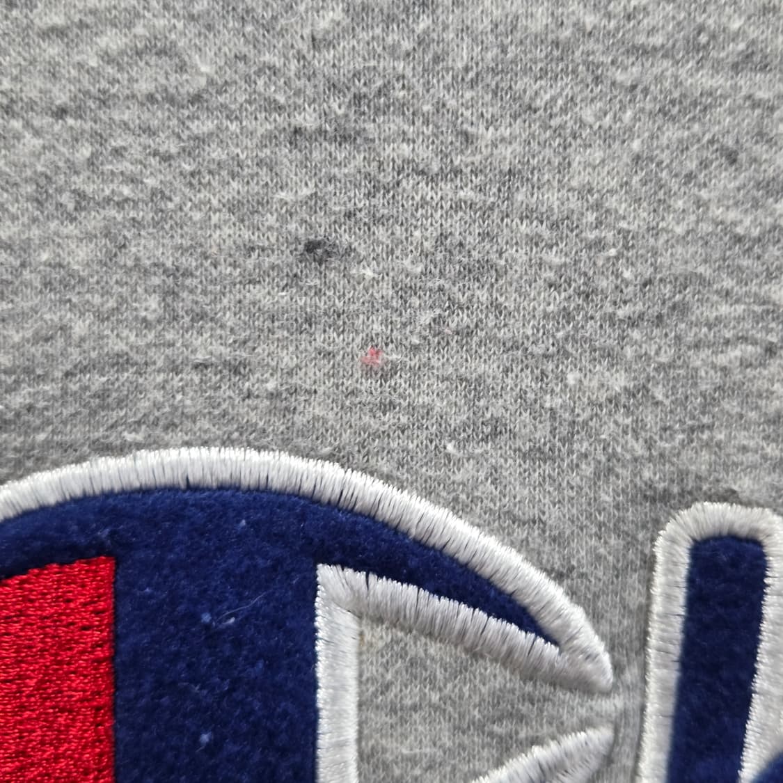 챔피온 스펠로고 자수 기모 후드티 F 상품이미지6