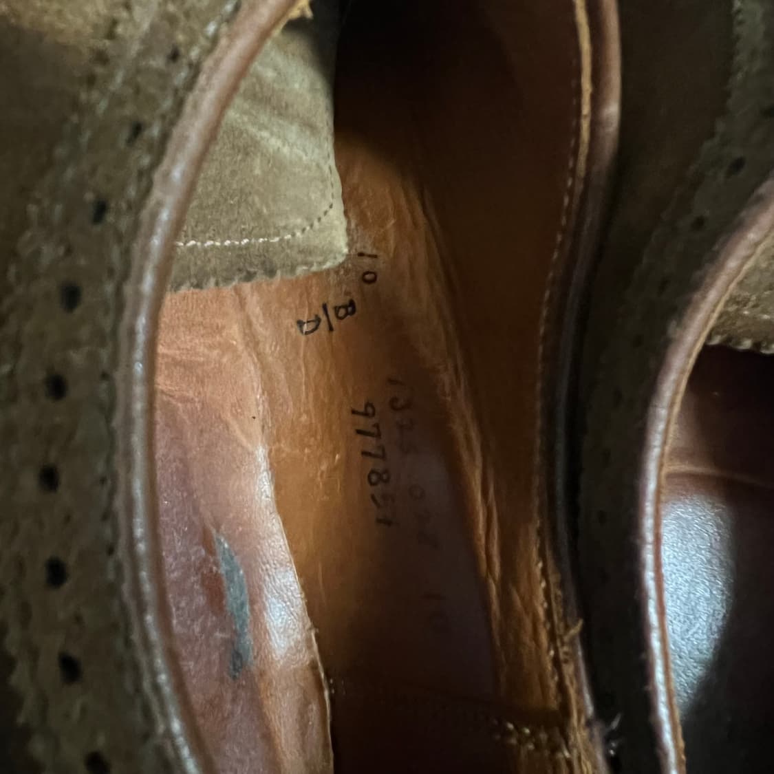 알든97785F 10D(280-285사이즈) 스너프 스웨이드 윙팁 더비  상품이미지3