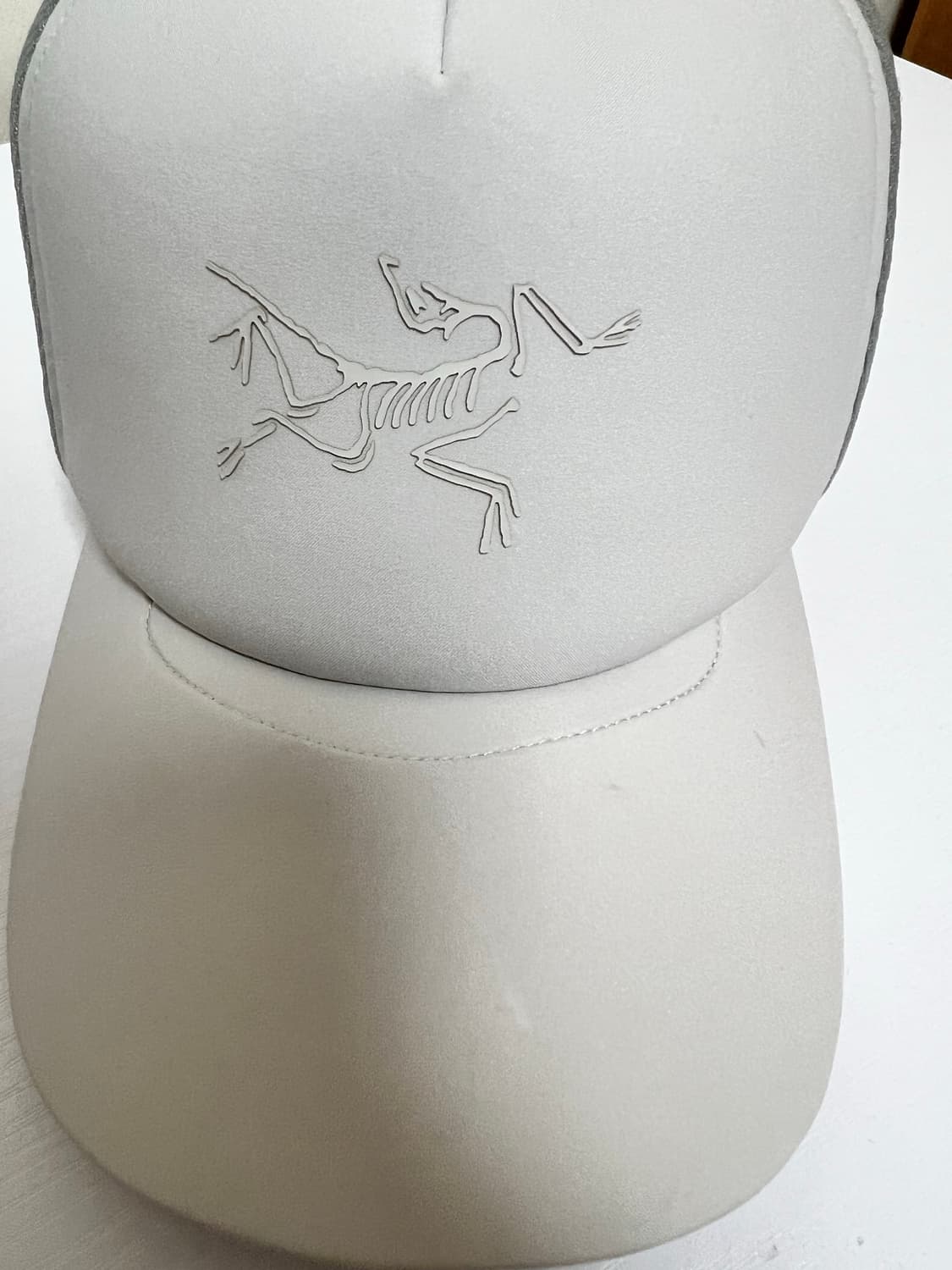 아크테릭스 캡 상품이미지2