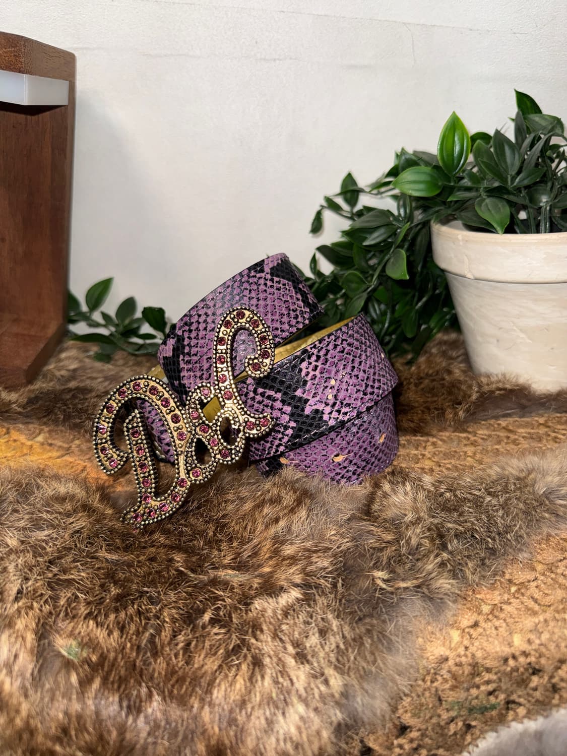 Dolce & Gabbana purple python cubic belt 상품이미지1