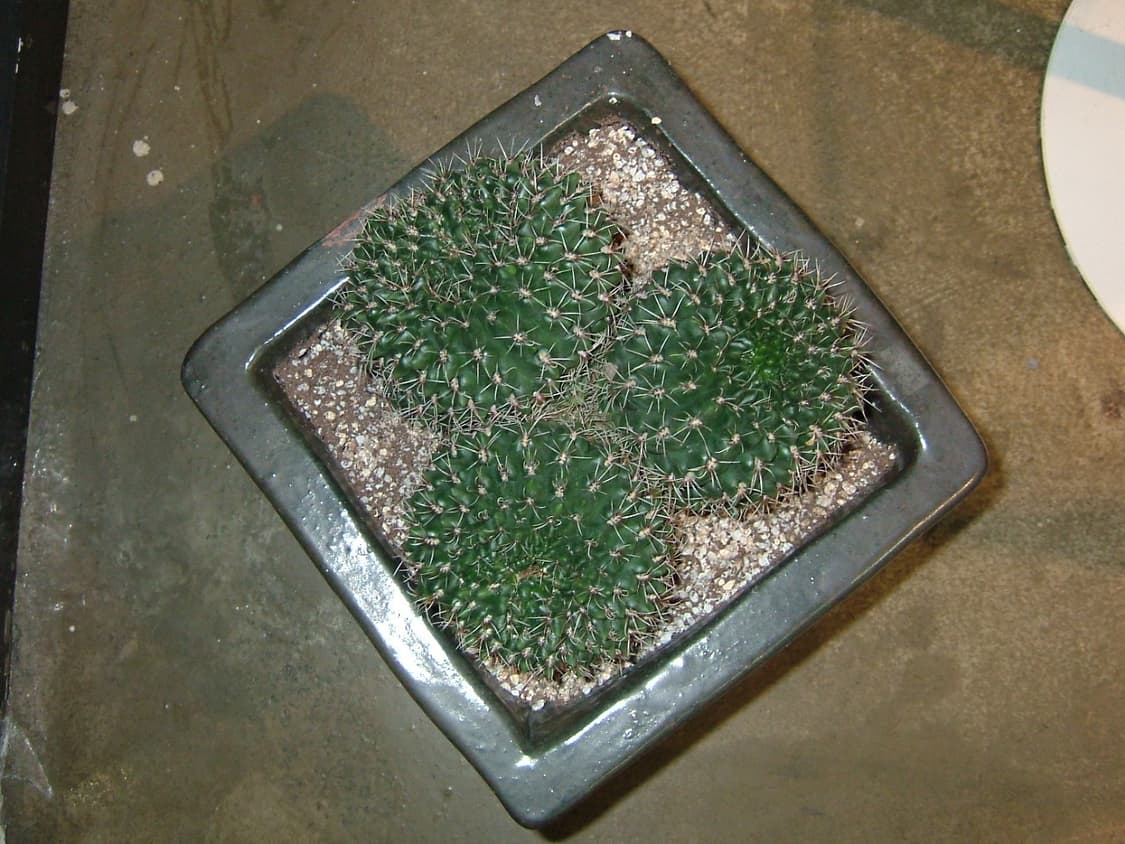 배터리2개/xd512mb)후지필름 파인픽스 F700 빈티지디카 상품이미지8