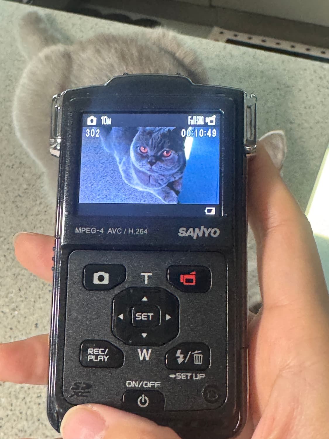 산요작티 카메라 상품이미지4