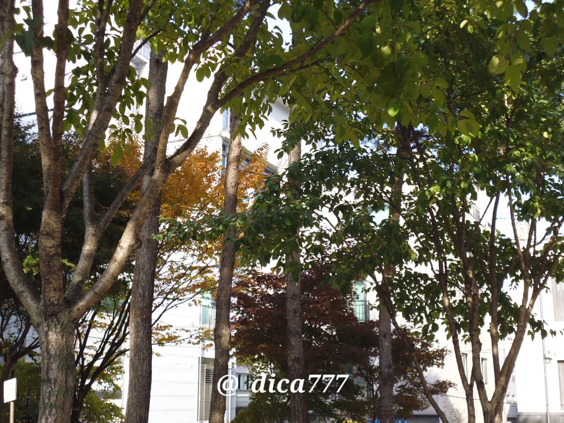 파나소닉 DMC-FH10 디카 풀박스 상품이미지6