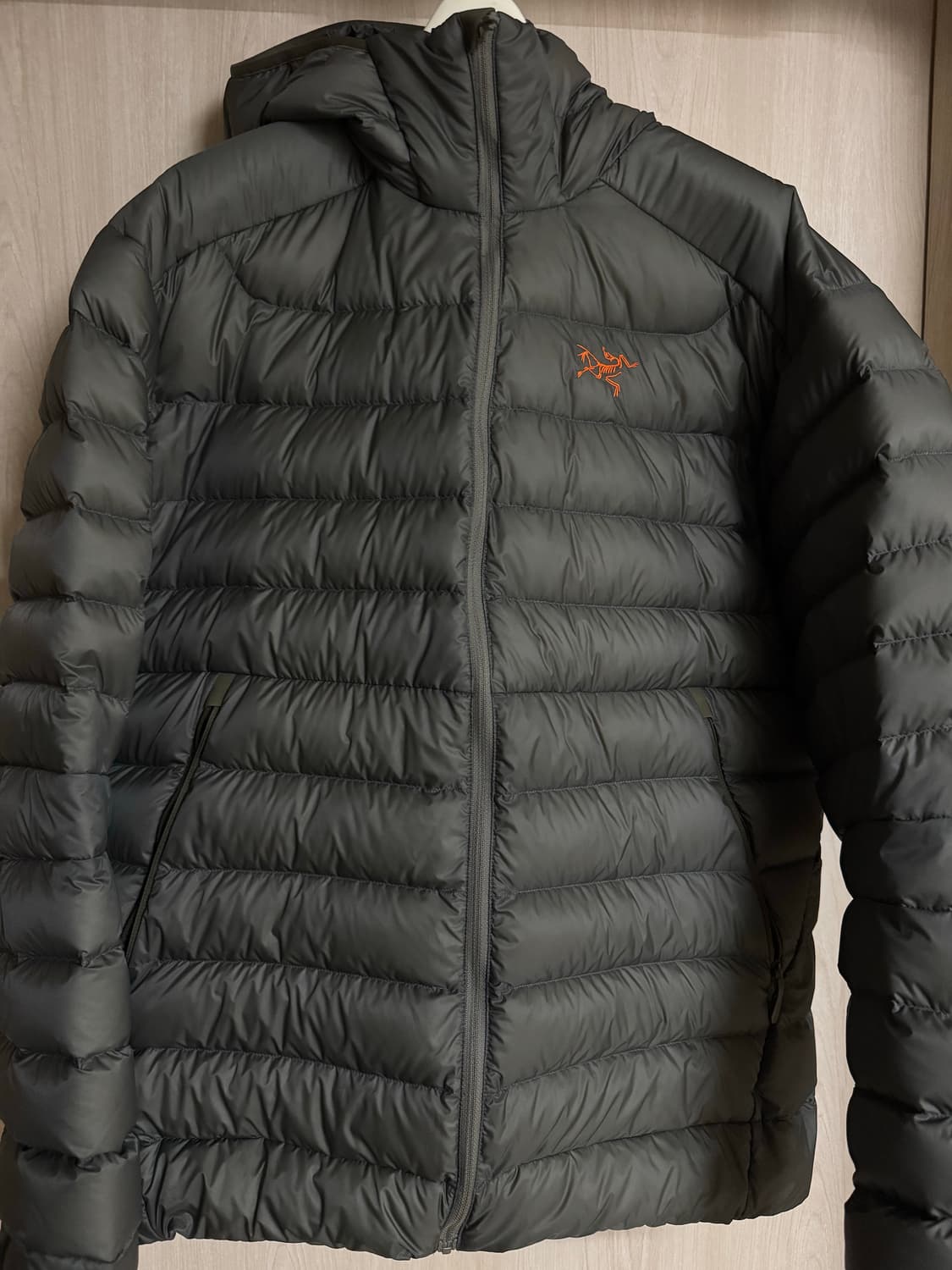 아크테릭스 세륨 포리지베르베 L 상품이미지2