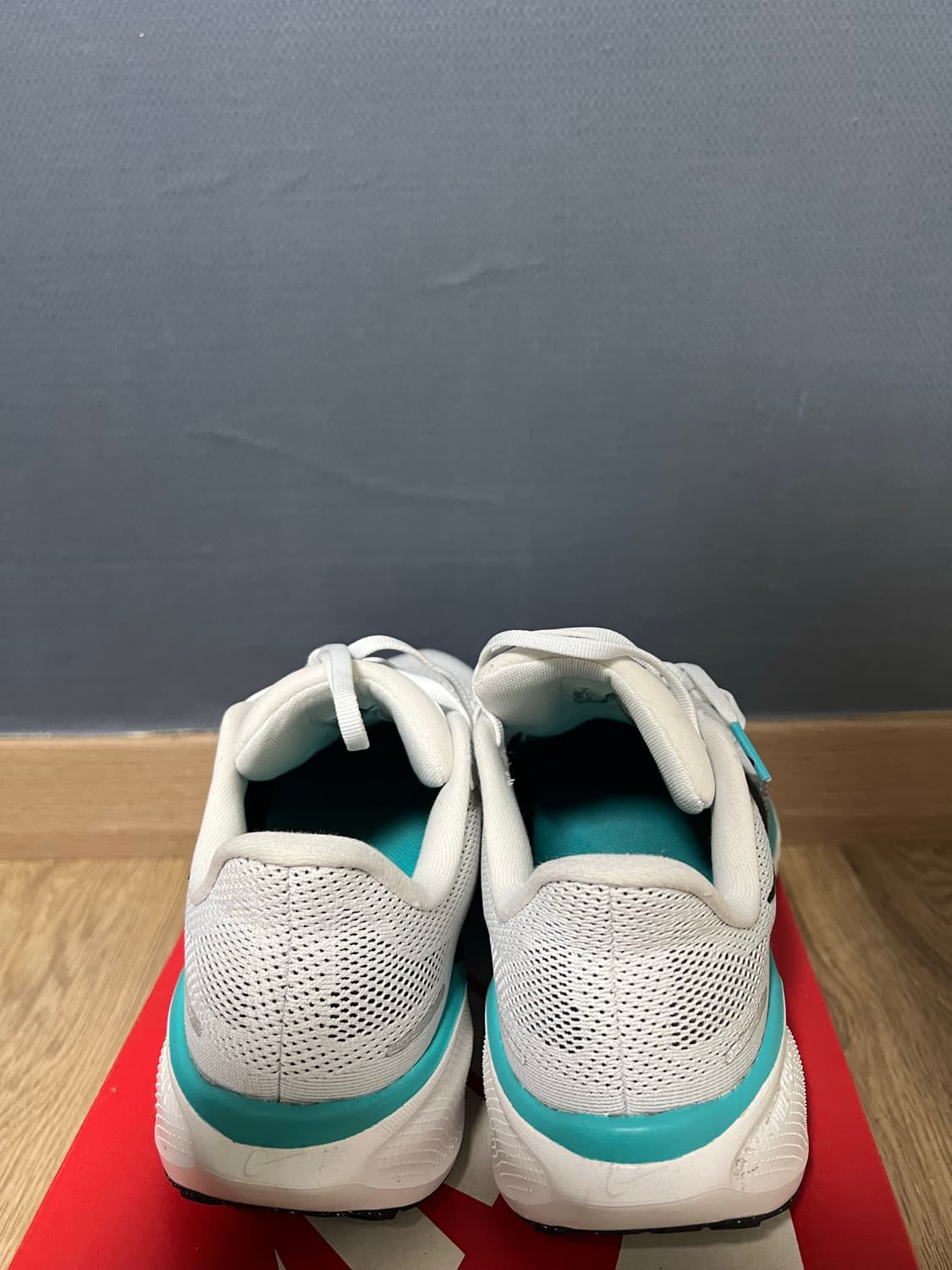 나이키 에어 줌 페가수스 41 런닝화 260 상품이미지3