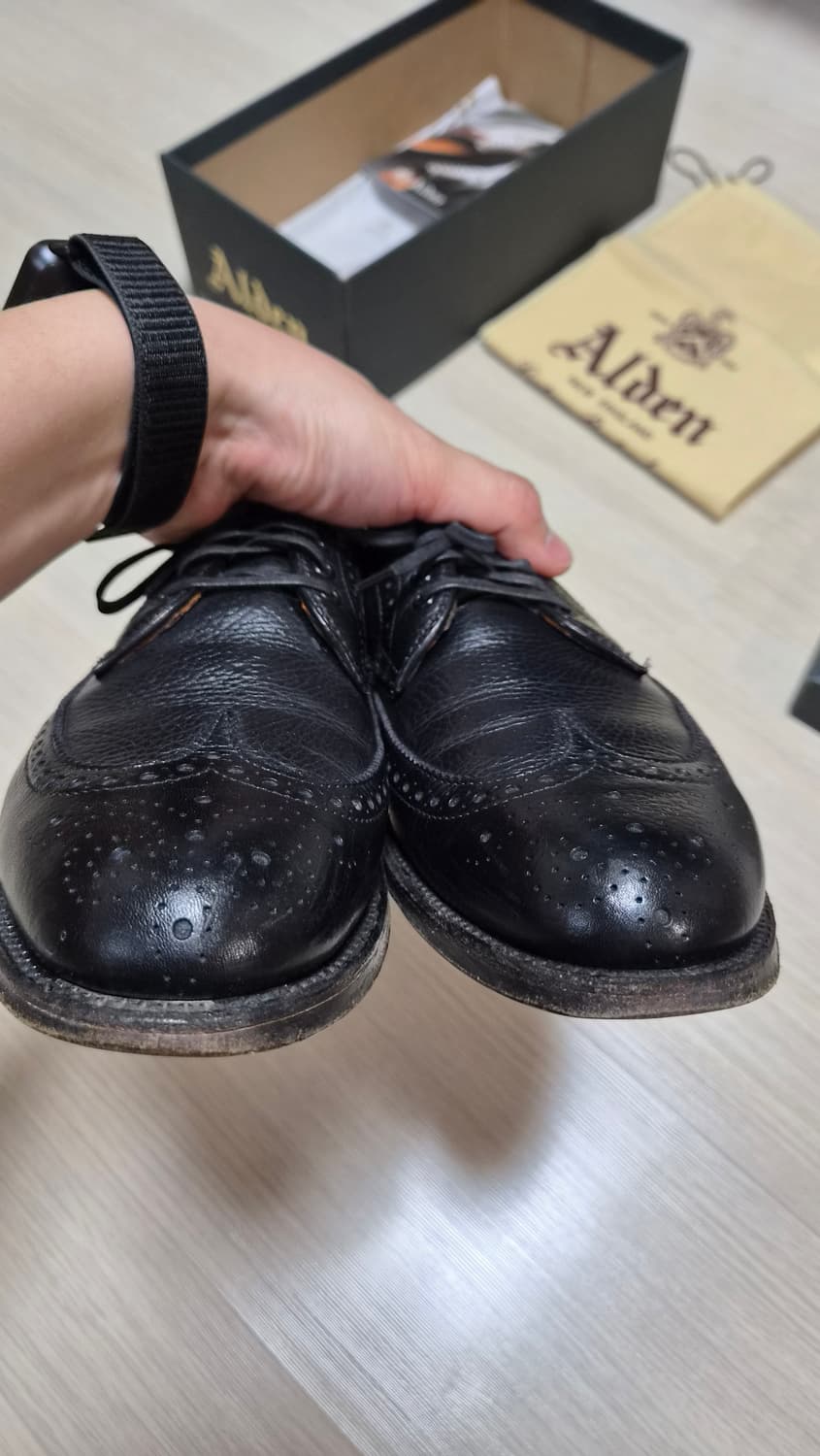 알든 그레인레더 롱윙 블랙 상품이미지7