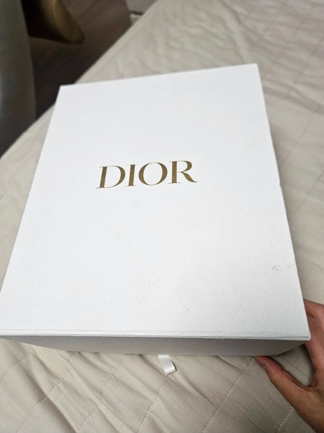 디올 마이크로 베니티 백 상품이미지8