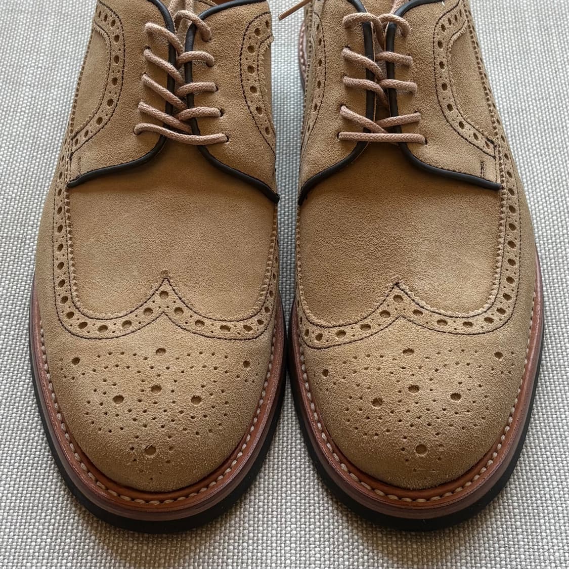 [새제품/255] Berwick 3681 데저트 스웨이드 브로그 윙팁 상품이미지2