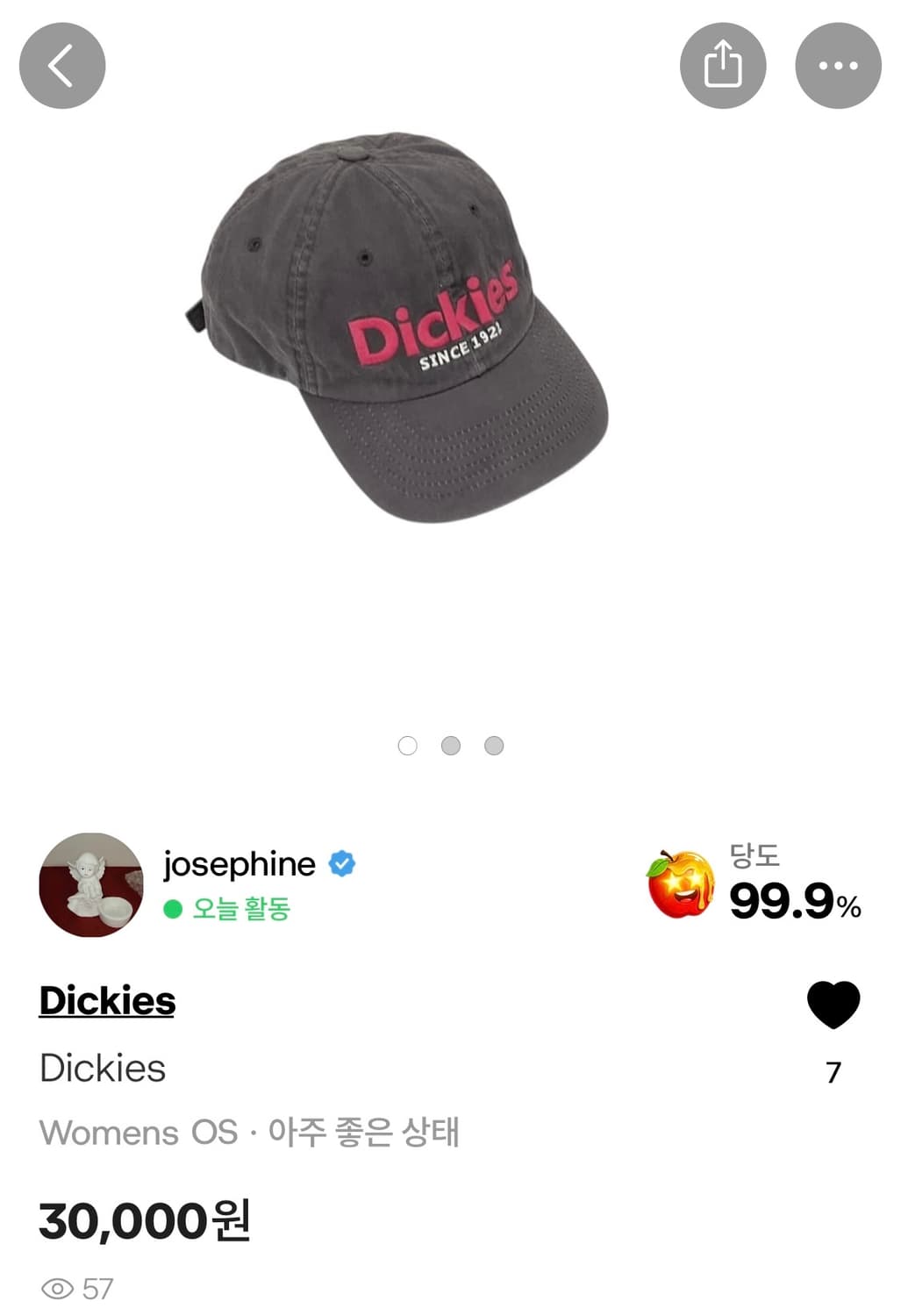 Dickies 디키즈 빈티지 모자 상품이미지3