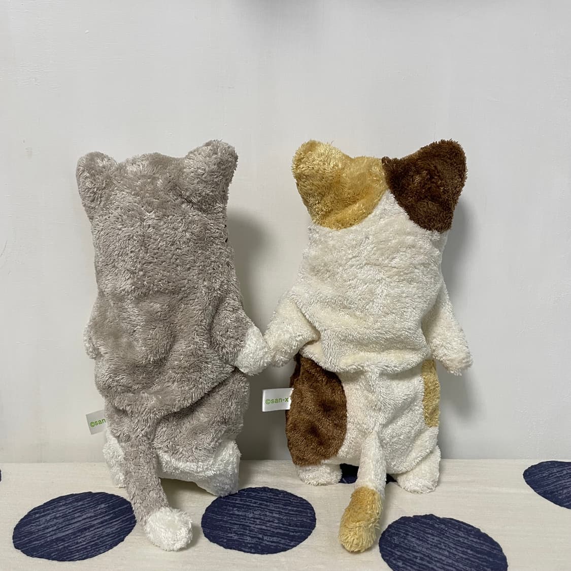 산엑스 찰찰이 고양이 인형 상품이미지2