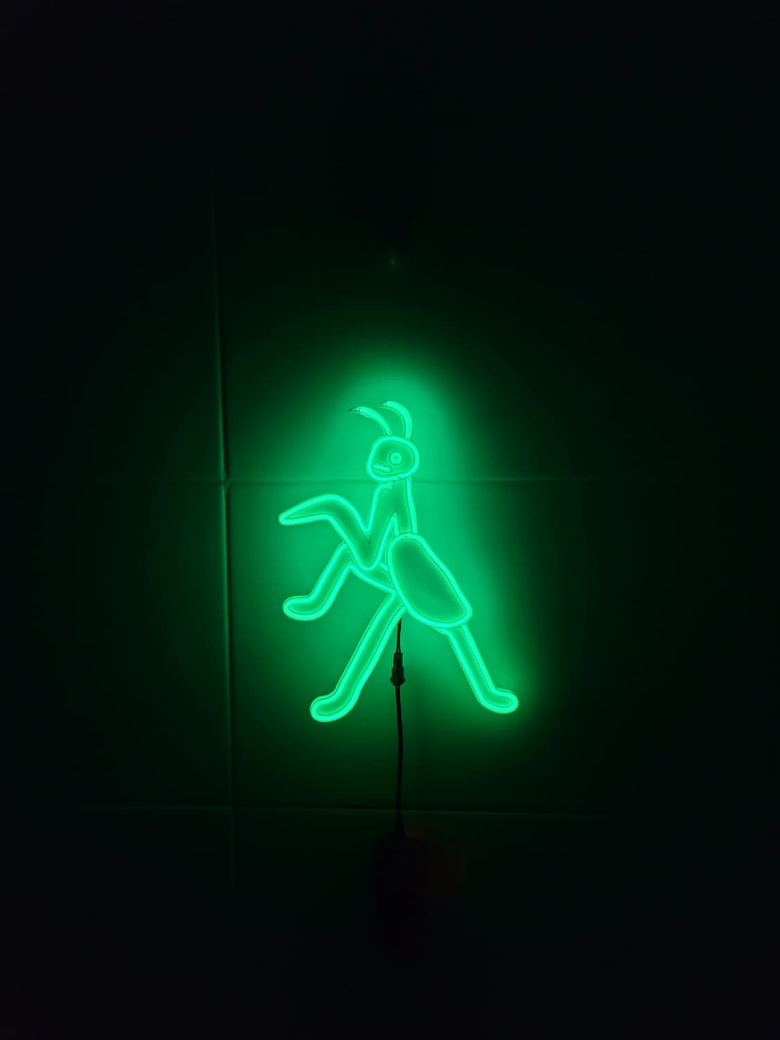 사마귀 네온사인 조명 led 램프 무드등 상품이미지3