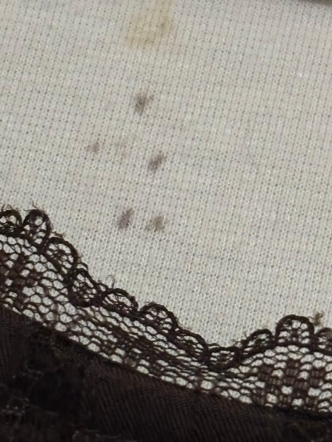 엑시즈팜 라떼갸루 원피스 급처 상품이미지4