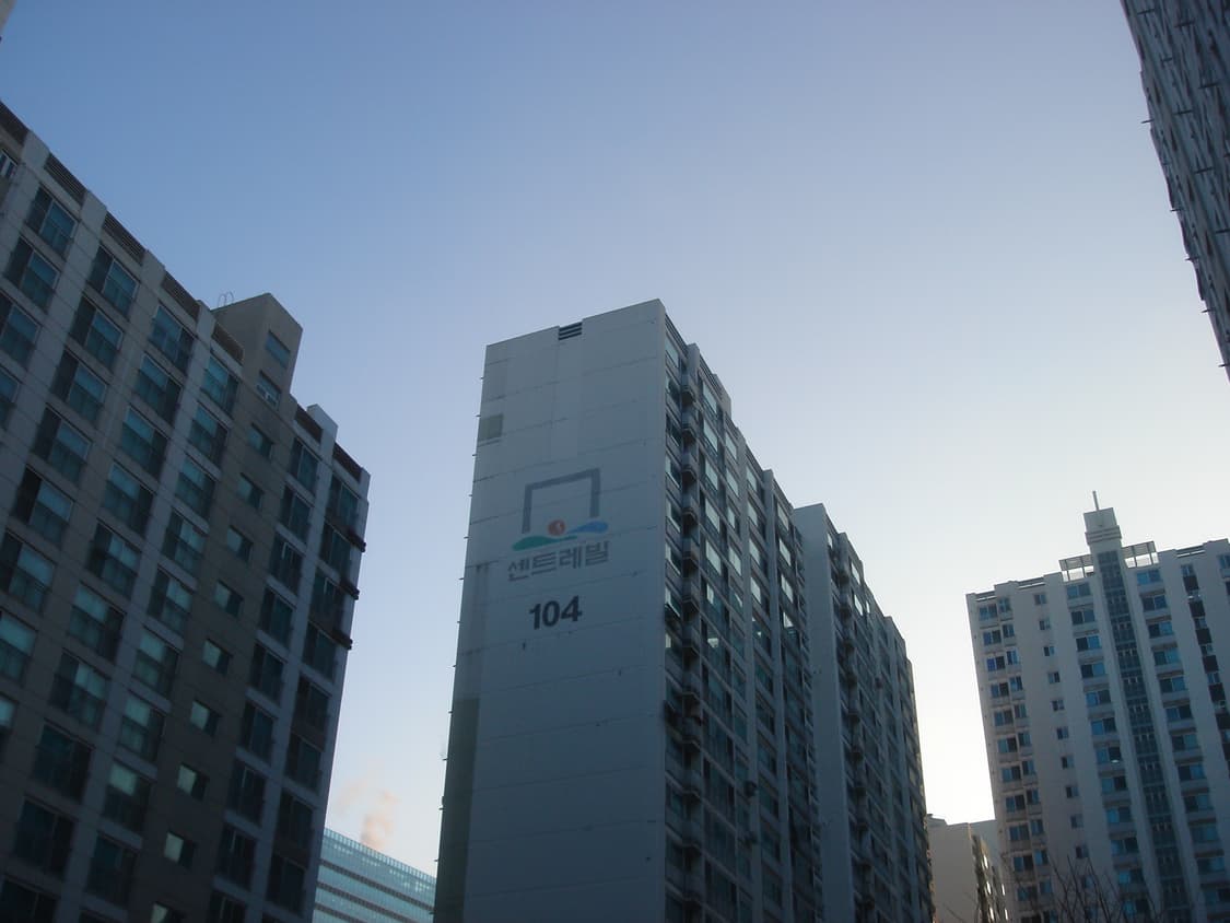 소니 dsc t33 디카 (디지털 카메라) 상품이미지6