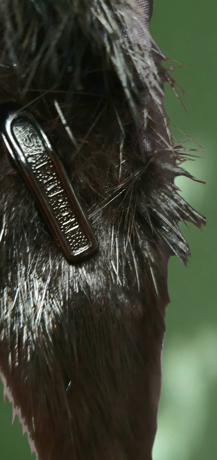 JAPAN 브랜드 
SAFURON 밍크 코트  블랙  상품이미지7