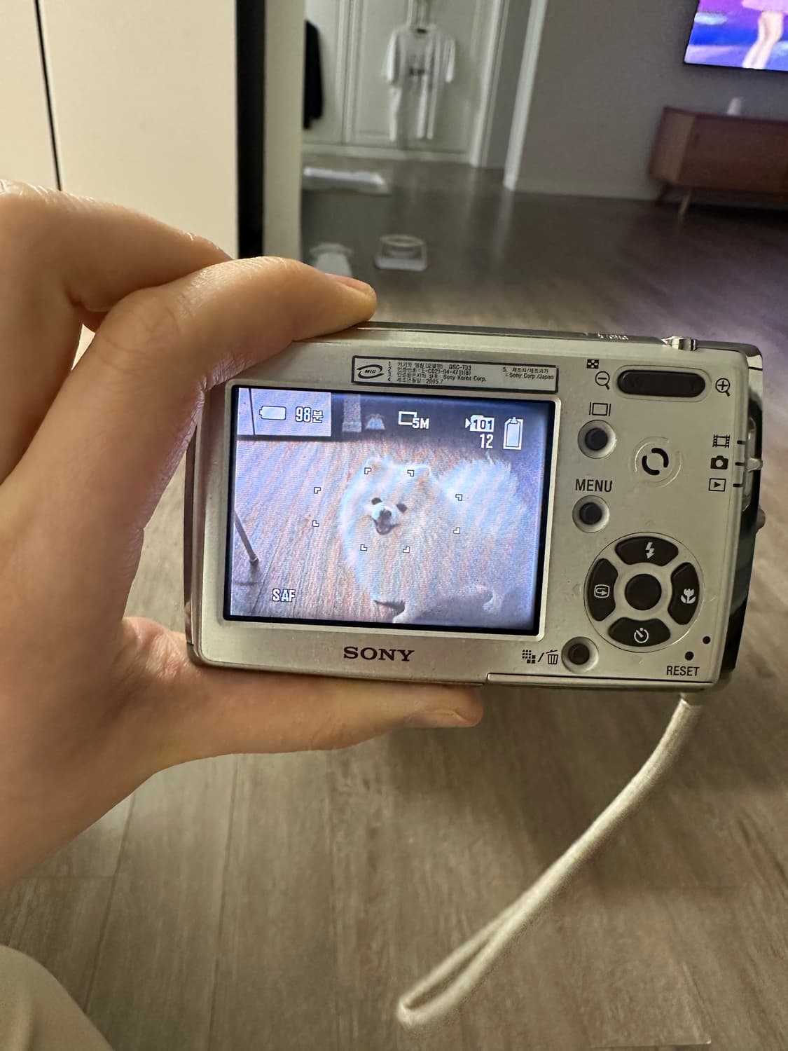 소니 사이버샷 dsc t33 상품이미지7