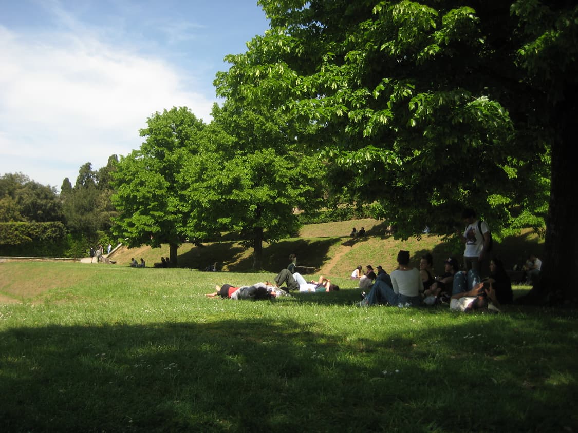 캐논 익시 10 익서스 70 (canon ixy 10/ ixus 70) 상품이미지5