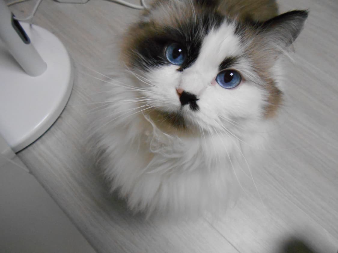 [빈티지 디카] 니콘 쿨픽스(Nikon COOLPIX) S4400 상품이미지8