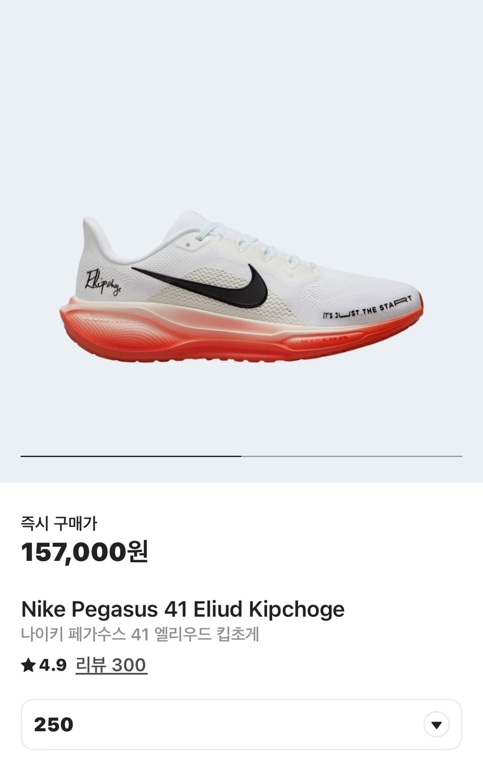 나이키 페가수스 엘리우드 킵초게 250 상품이미지1
