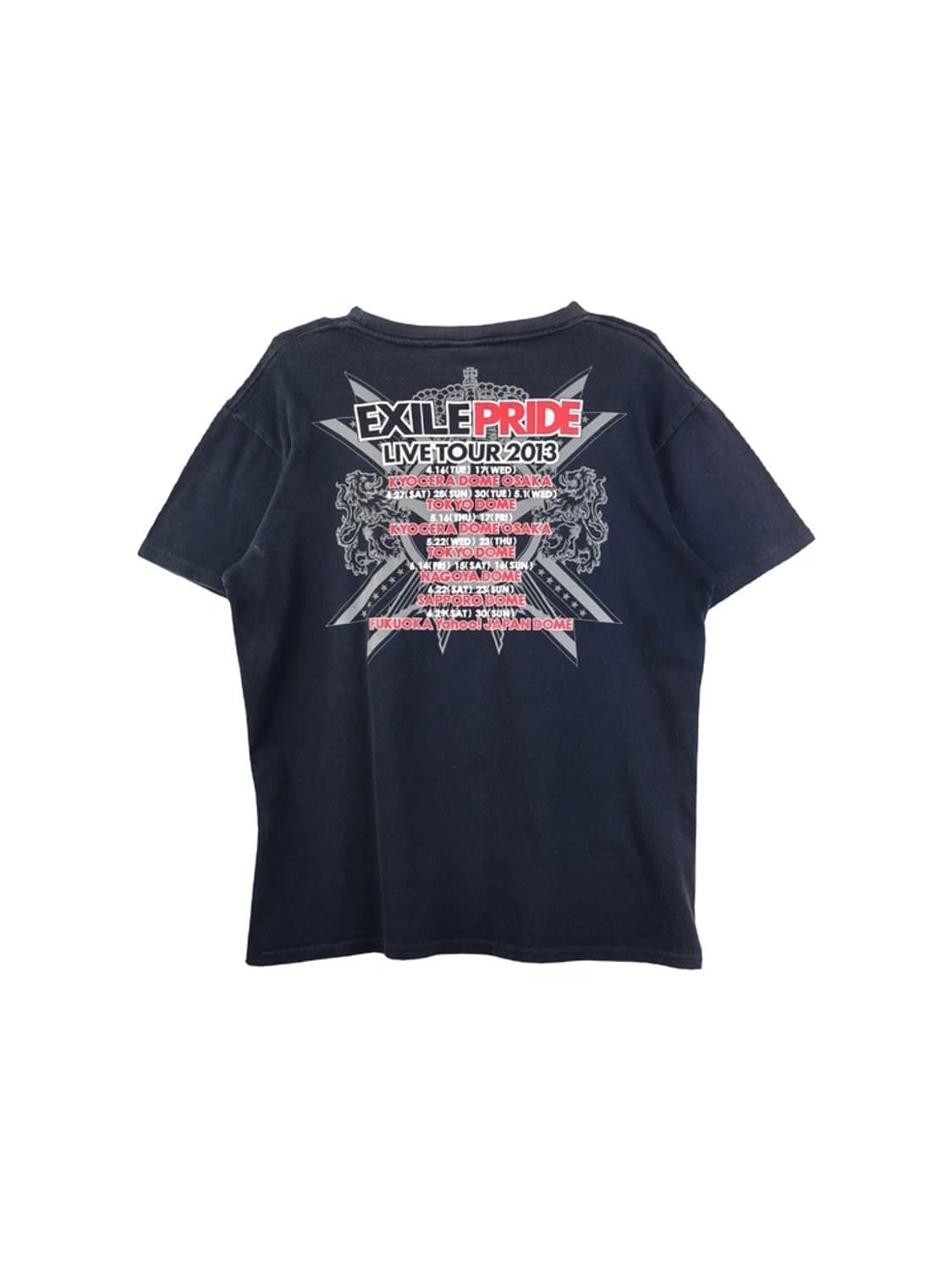 EXILE PRIDE 2013 tour t-shirt  상품이미지5