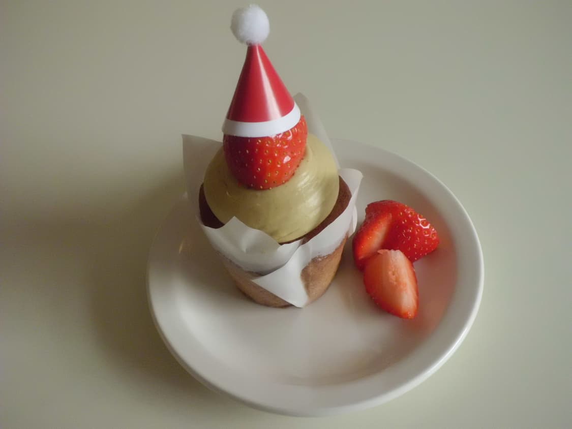 코르티스 엄성현 디카 casio exzs5 exz27 상품이미지7