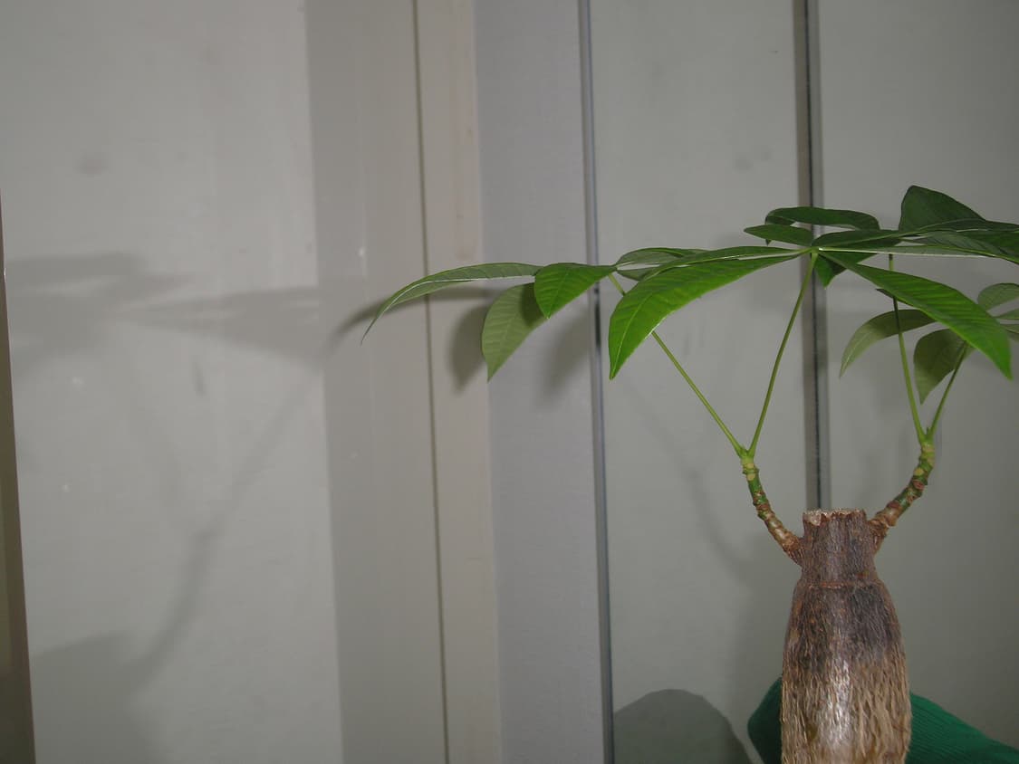 개인결제페이지 상품이미지1