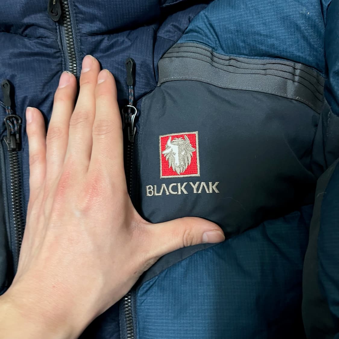 블랙야크 남성 윈드스토퍼 익스트림피크 구스다운 대장급 패딩 M/95  상품이미지6