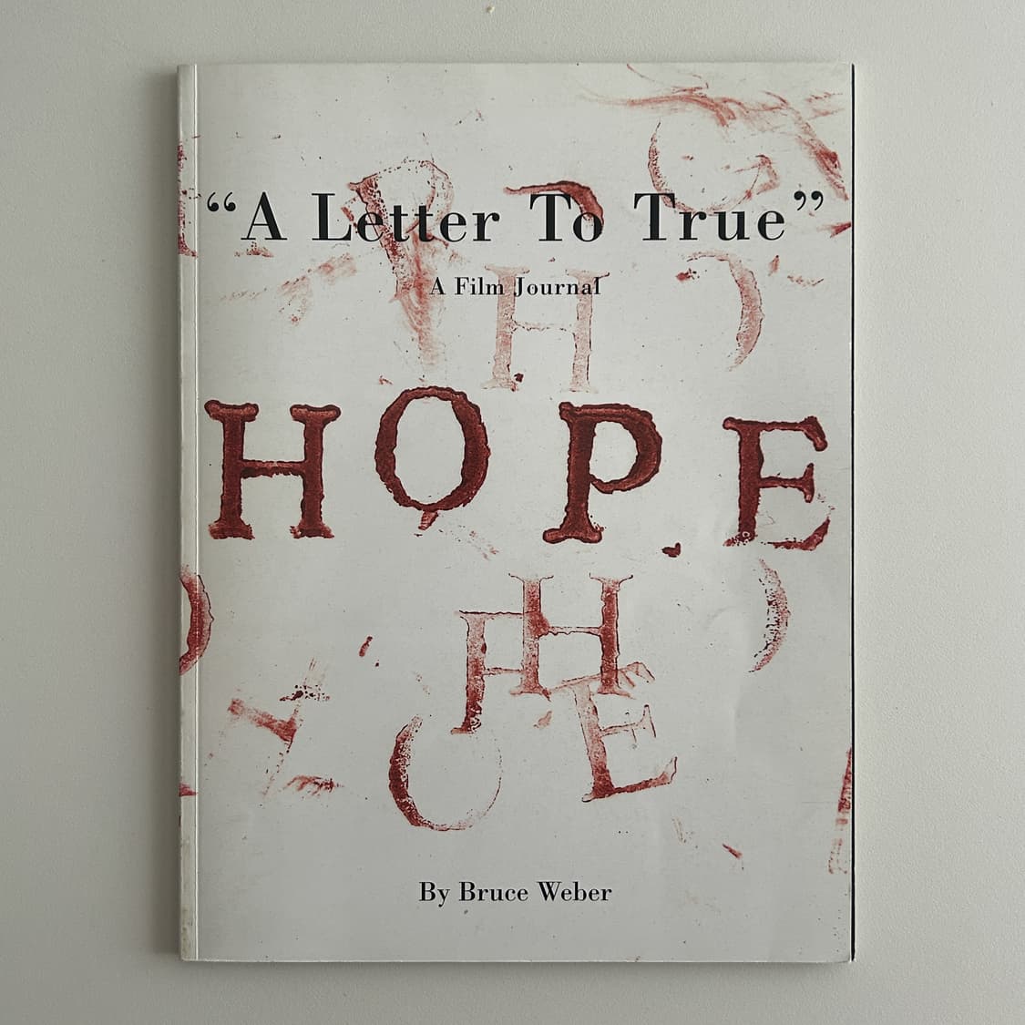Bruce Weber - A Letter To True (2005) 상품이미지1