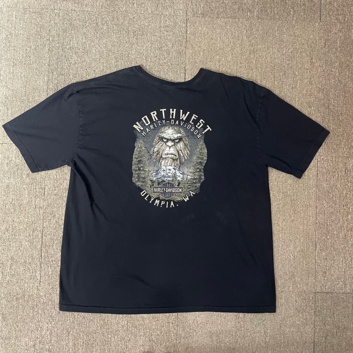 (5XL) Harley Davidson 할리 데이비슨 반팔티 상품이미지5