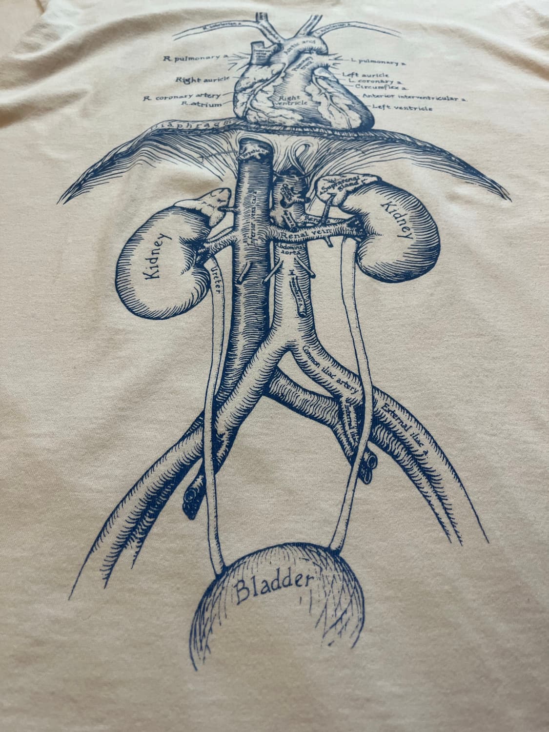 90s VINTAGE NDRI ANATOMY PRINT TEE USA 상품이미지5