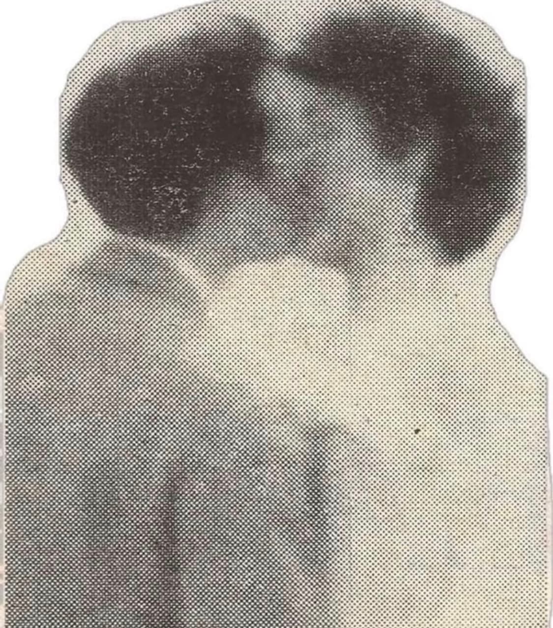 dumb 님 결제창 상품이미지1