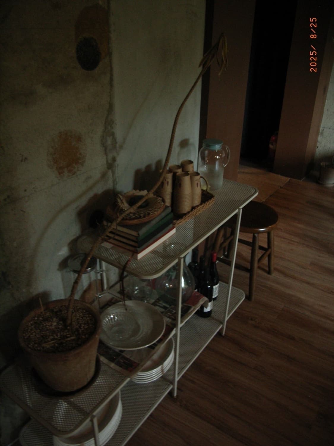 리코 카프리오 R2 디카 (작례O) 상품이미지8