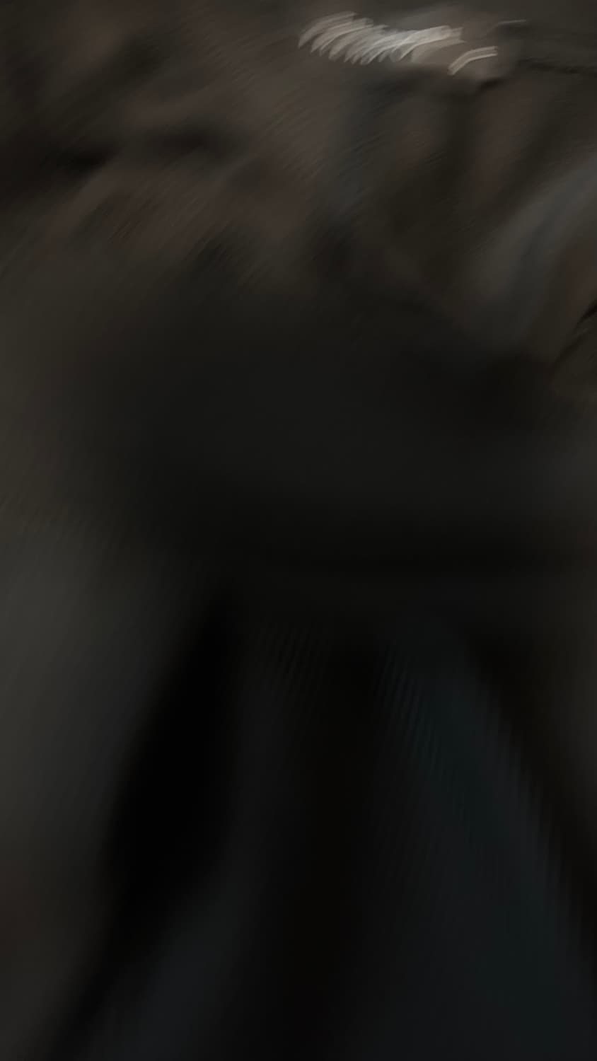 트렌디올 부츠컷 레깅스 S 상품이미지8