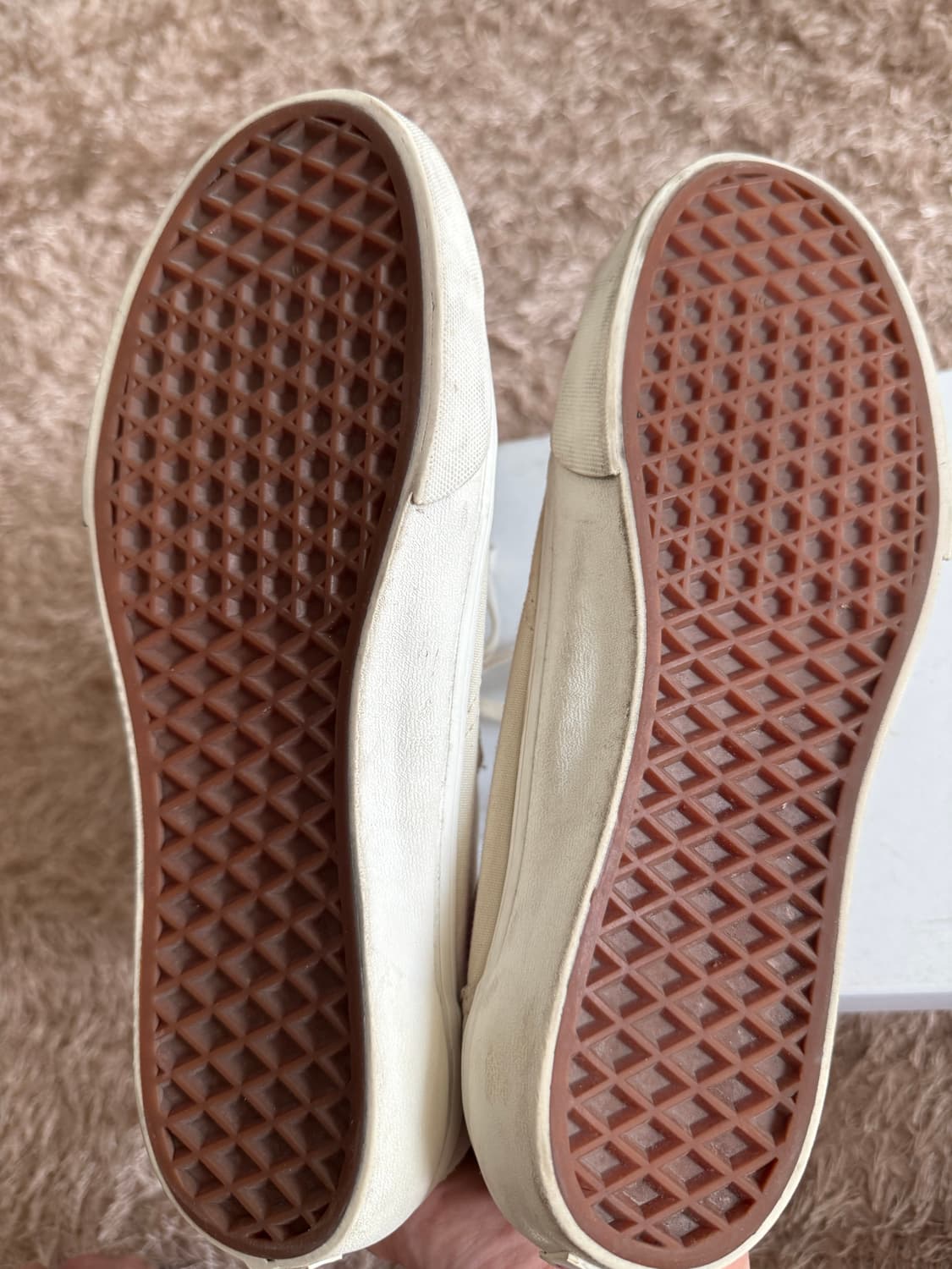 (41) 반스 스타일36 아이보리 레드 상품이미지4