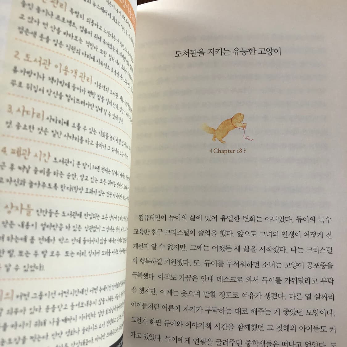 정가 15,000원 세계를 감동시킨 도서관 고양이 듀이 상품이미지3