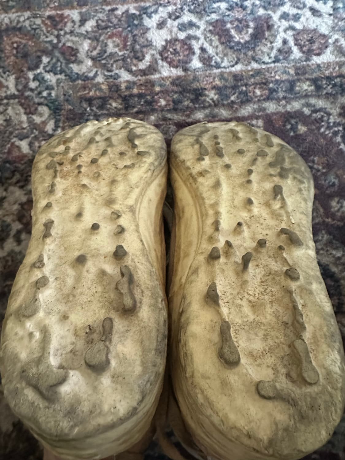 캐롤 크리스찬 포엘 캥거루 드립 슈즈 상품이미지2