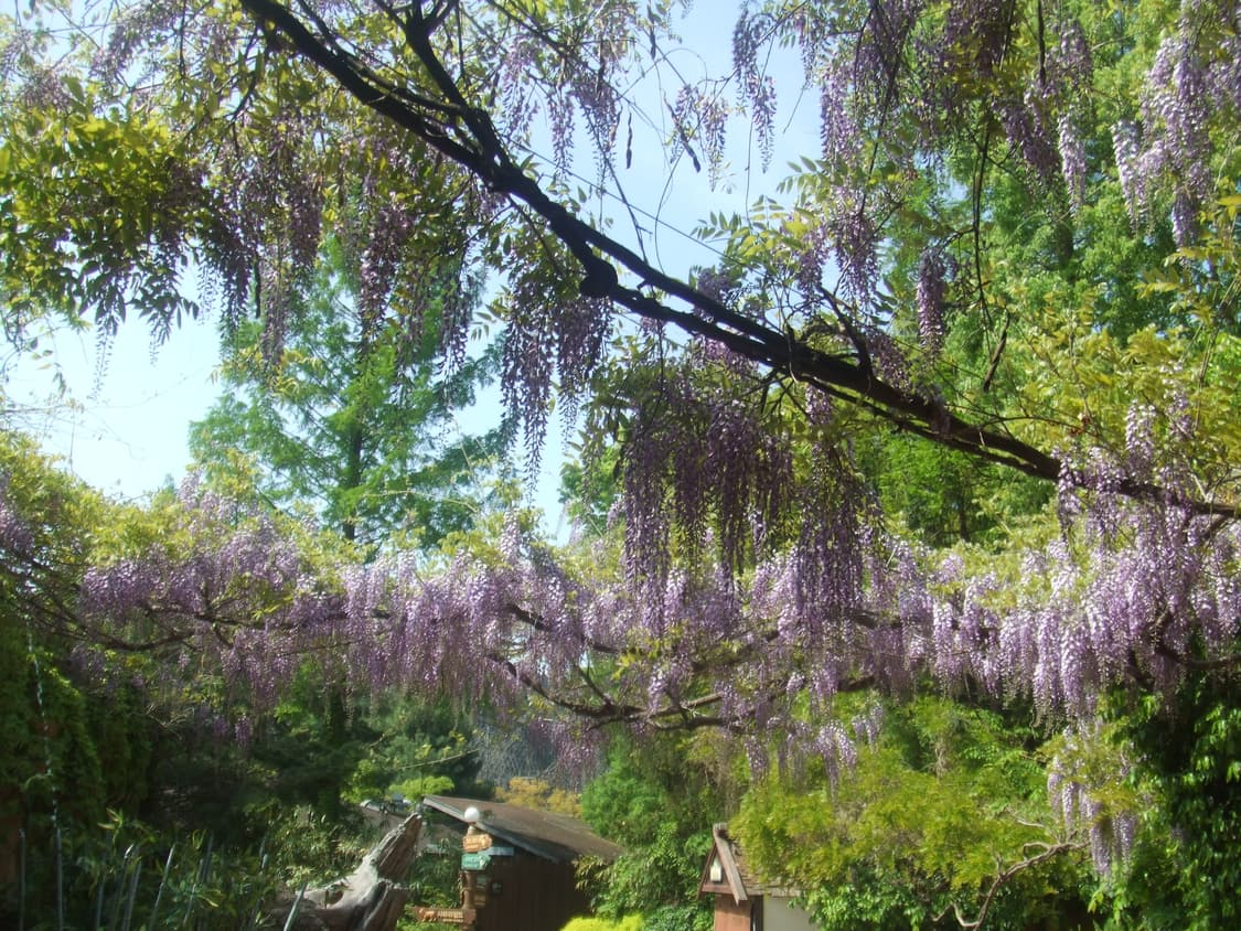 후지필름 파인픽스 z1 fujifilm finepix z1 상품이미지3